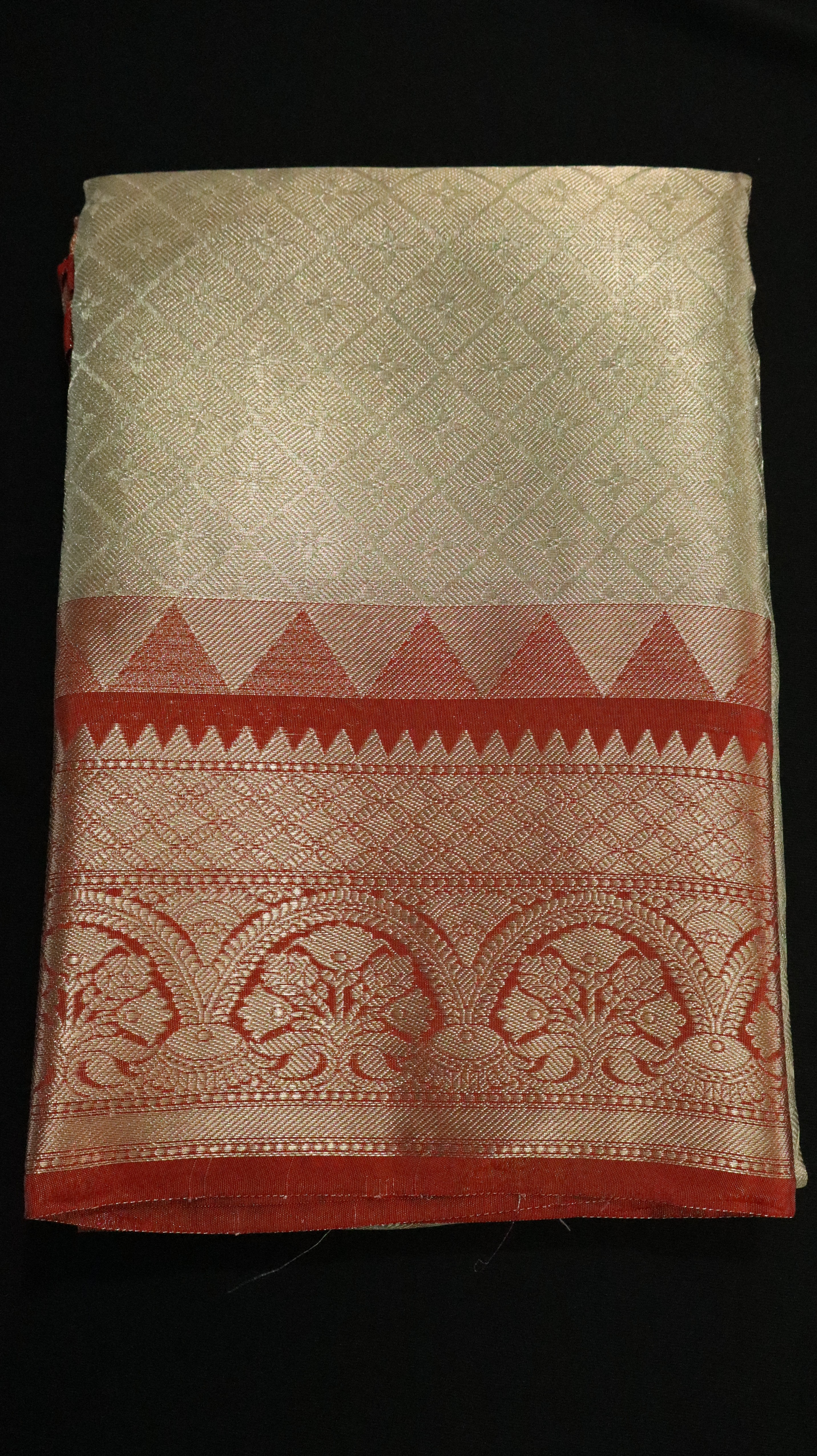 KANCHIPURAM TISSUE SAREE-TUSSAR/ARAKU