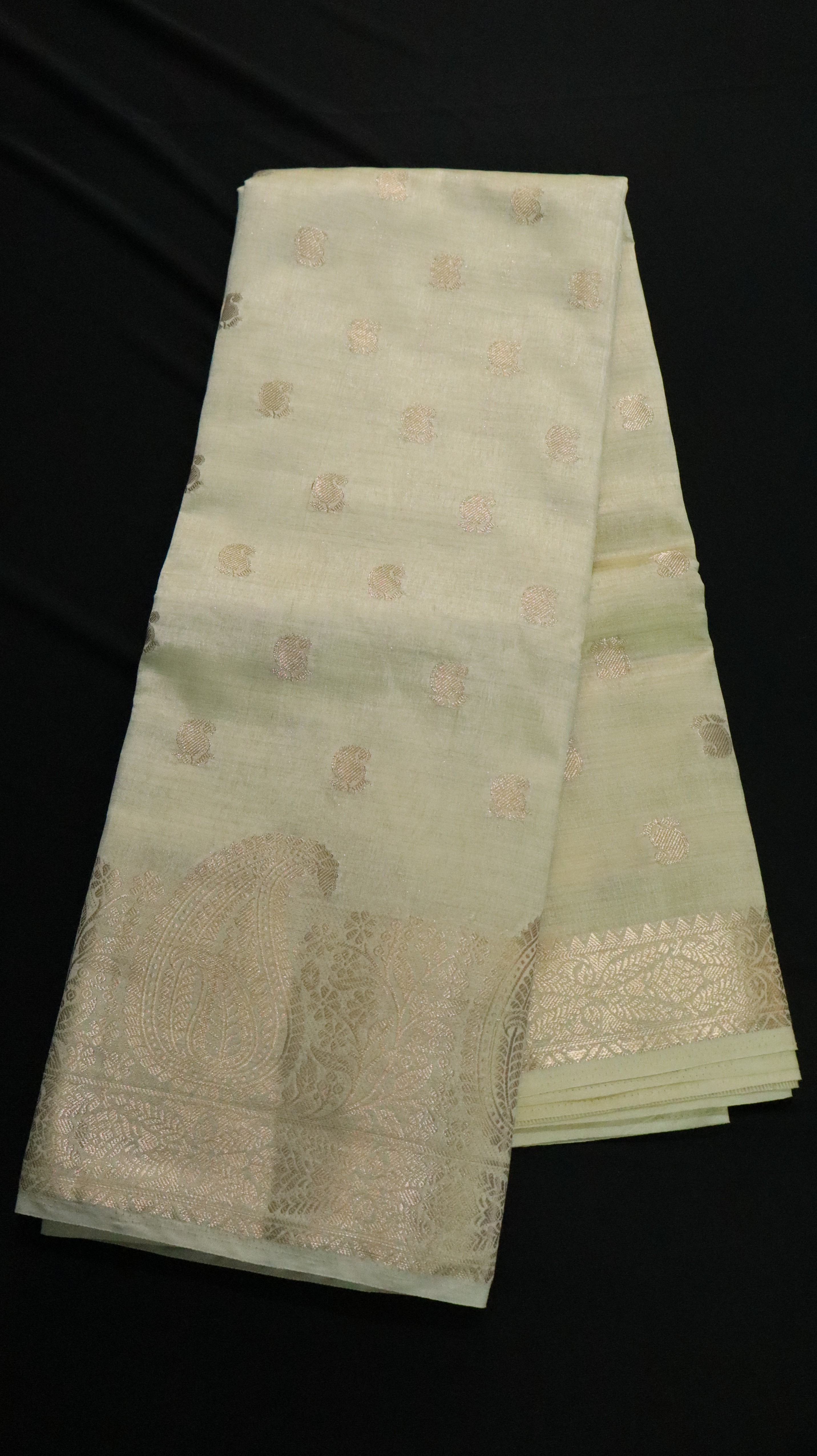 MANGO BORDER WITH MOTIF-TUSSAR